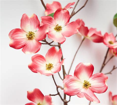 dogwood artificial flower|faux pink dogwood branches.